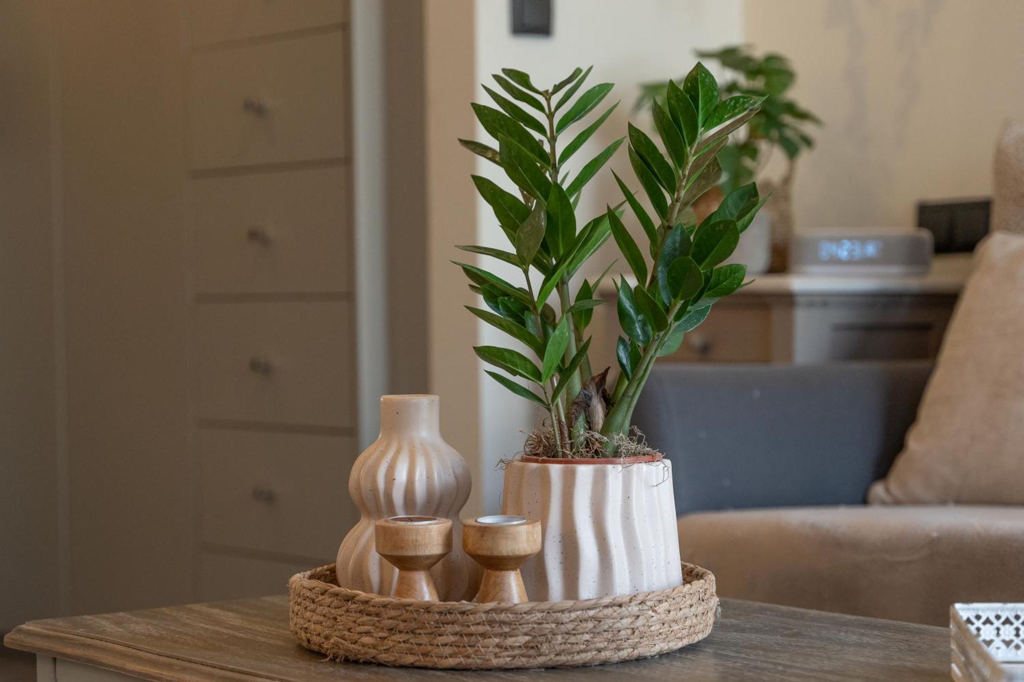 Ixia Home מראה חיצוני תמונה